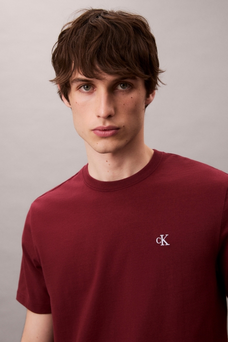 Calvin Klein ss easy monogram tee